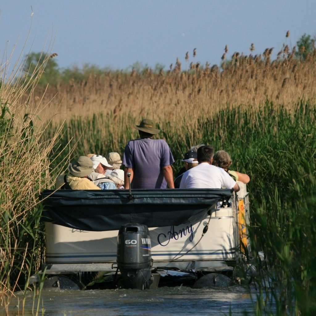 plimbare cu barca noastra intr o excursie in delta dunarii