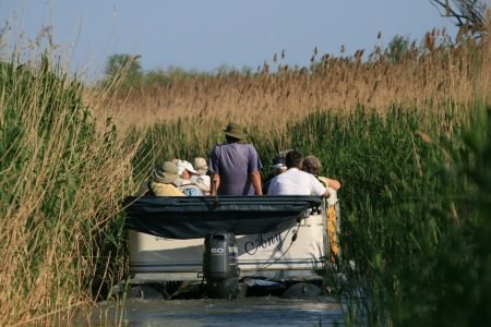 plimbare cu barca noastra intr o excursie in delta dunarii