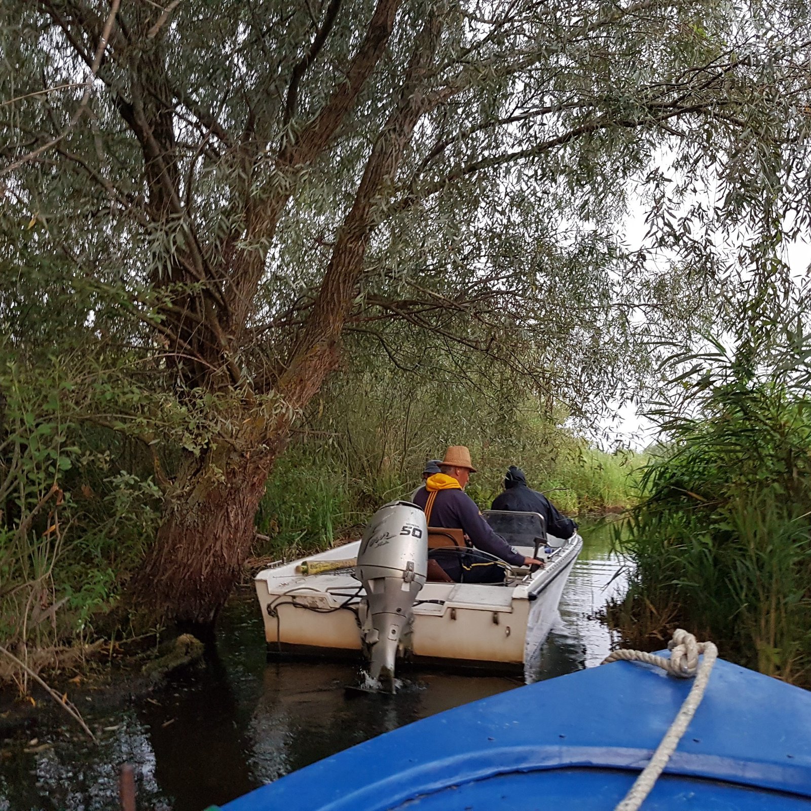 Excursie cu barcile pe un canal al Deltei Dunarii