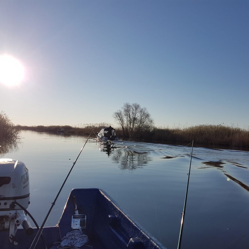 excursii in delta dunarii cu pescuit